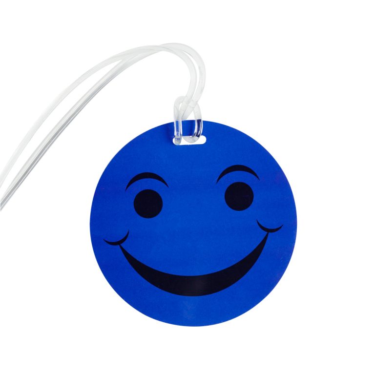 Colourful Luggage Tags B